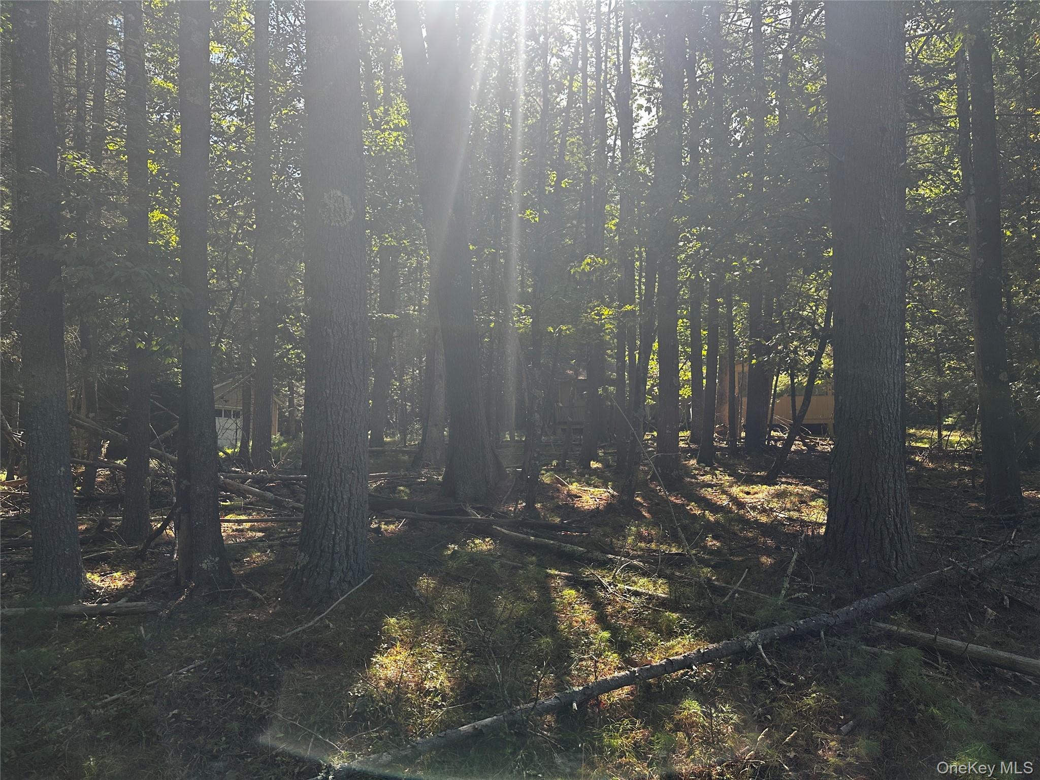 #3 photo, 8 Kern Road, Barryville , NY 12719