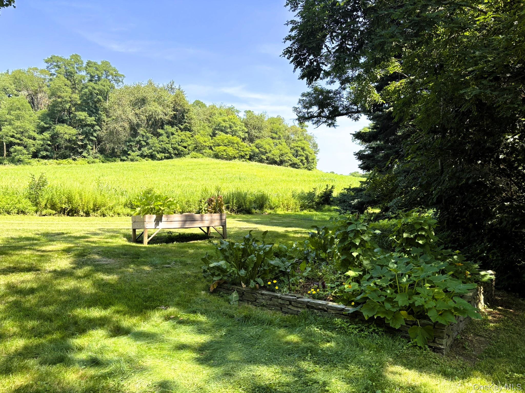 #6 photo, 3807 Route 199, Pine Plains , NY 12567