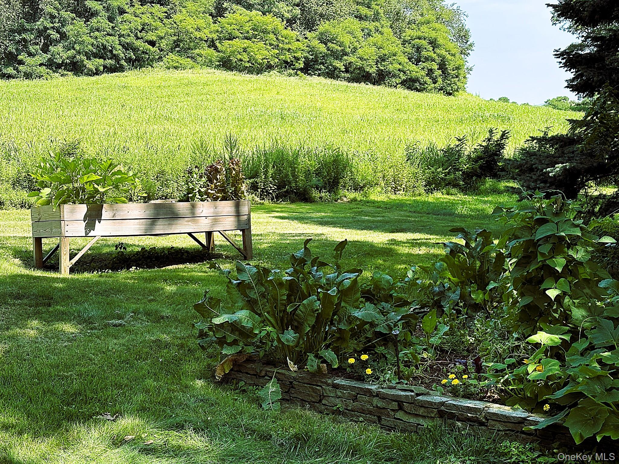 #7 photo, 3807 Route 199, Pine Plains , NY 12567