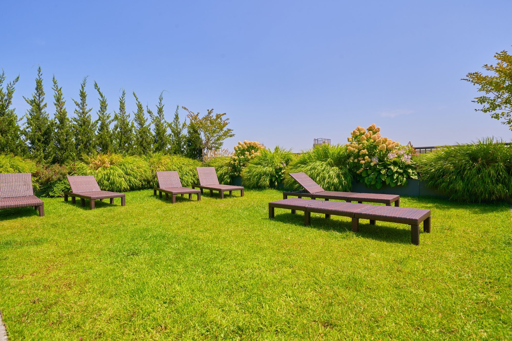 #17 photo, 184 Kent Avenue, ブルックリン区 Williamsburg , NY 11249