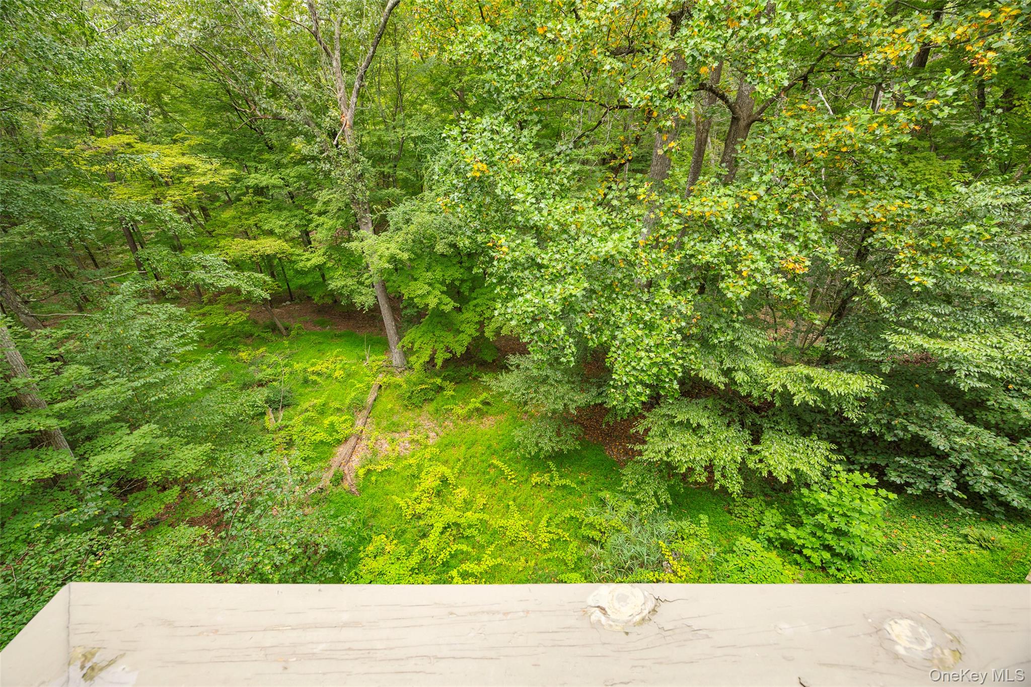 #3 photo, 51 Major Lockwood Lane, Pound Ridge , NY 10576