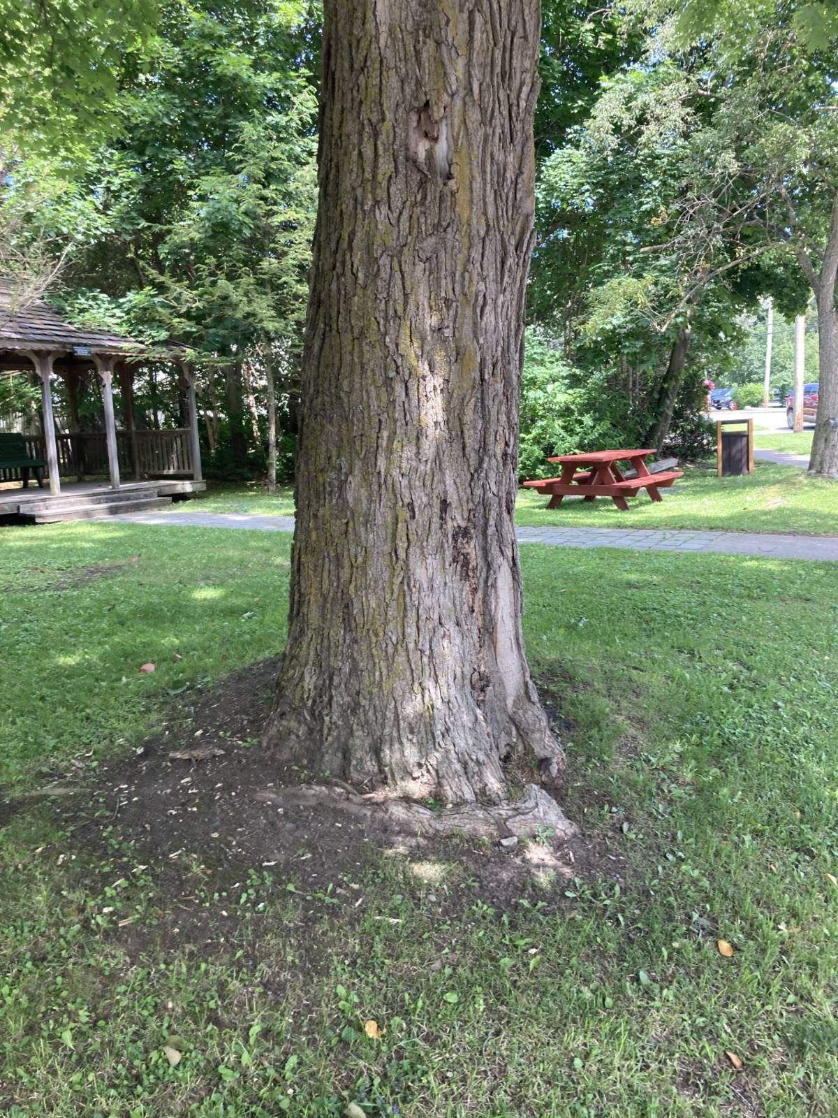 #1 photo, 3 Main Street, Cherry Valley , NY 13320