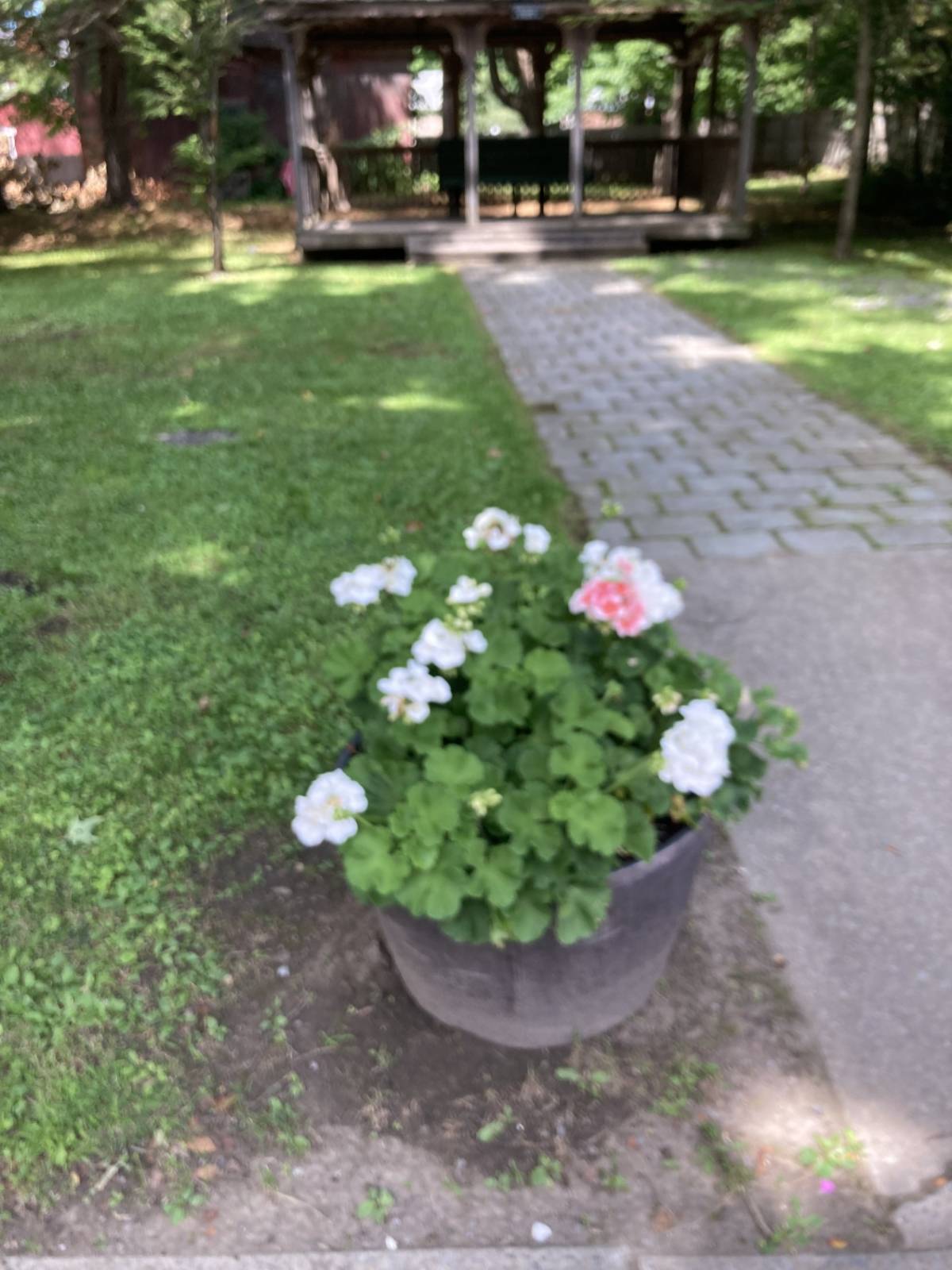 #18 photo, 3 Main Street, Cherry Valley , NY 13320