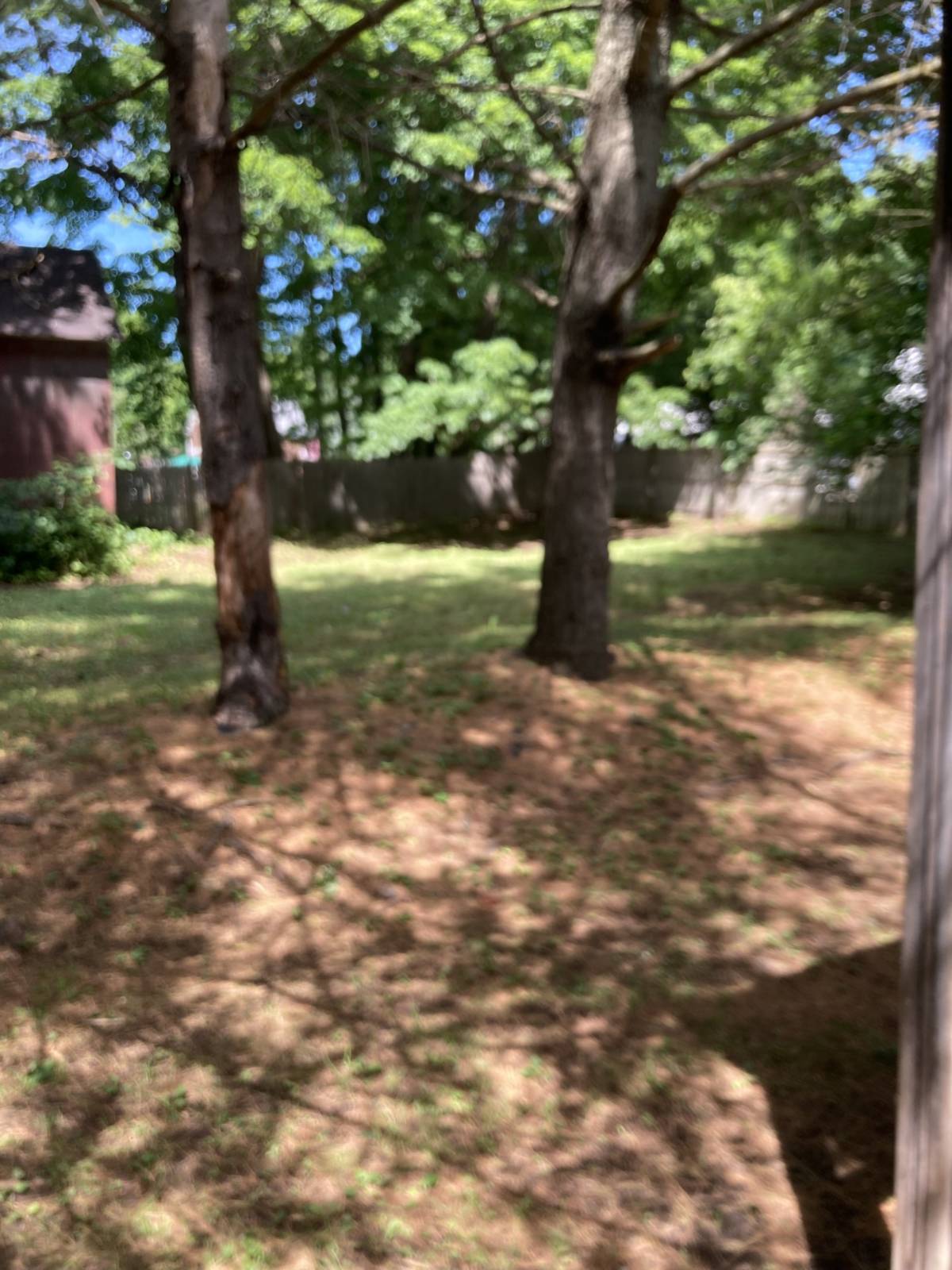 #5 photo, 3 Main Street, Cherry Valley , NY 13320