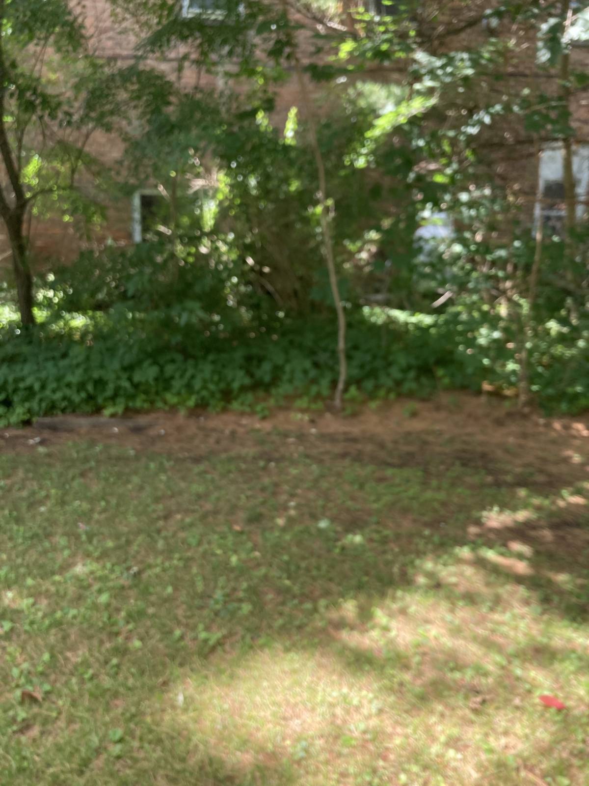 #6 photo, 3 Main Street, Cherry Valley , NY 13320