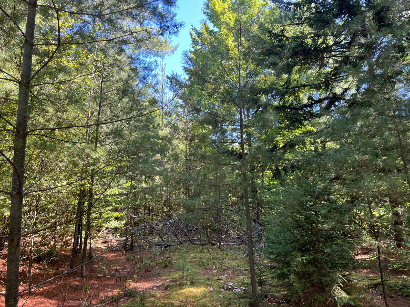 #10 photo, 20 Pond Rd/prvt, Russell , NY 13684