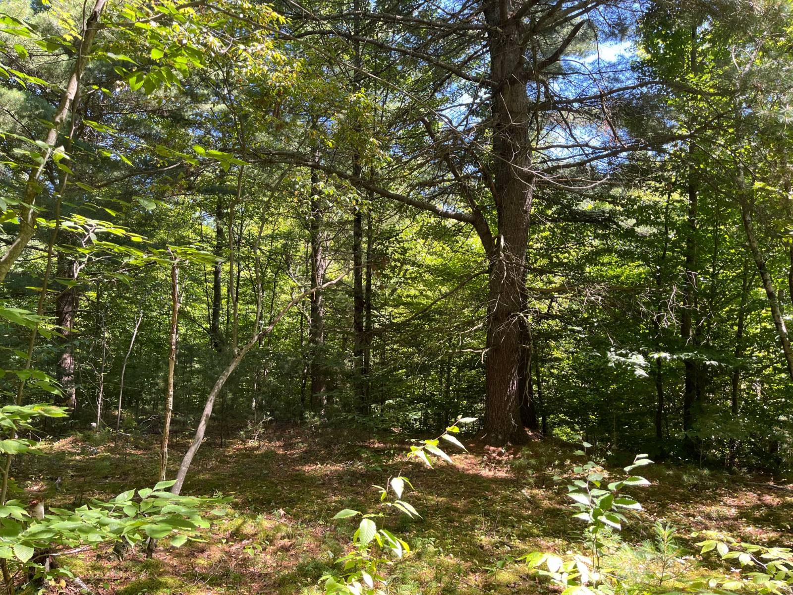 #11 photo, 20 Pond Rd/prvt, Russell , NY 13684