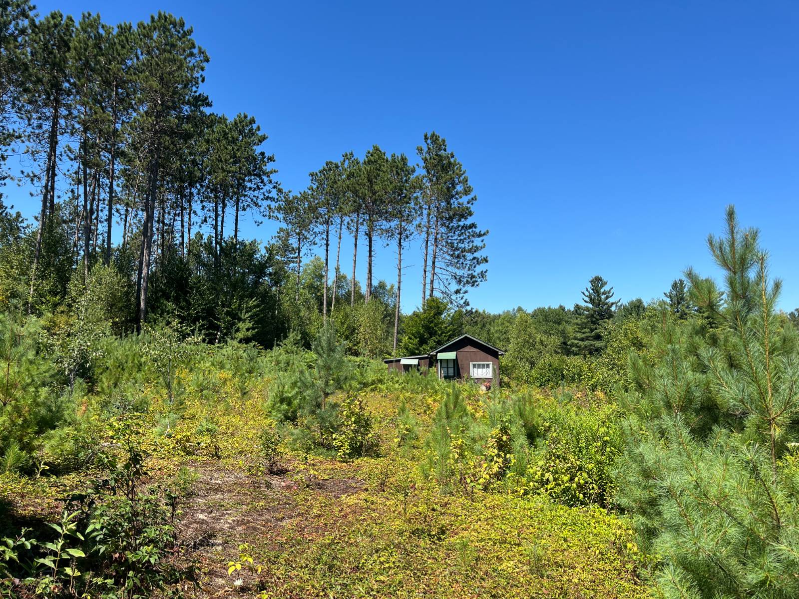 #12 photo, 20 Pond Rd/prvt, Russell , NY 13684