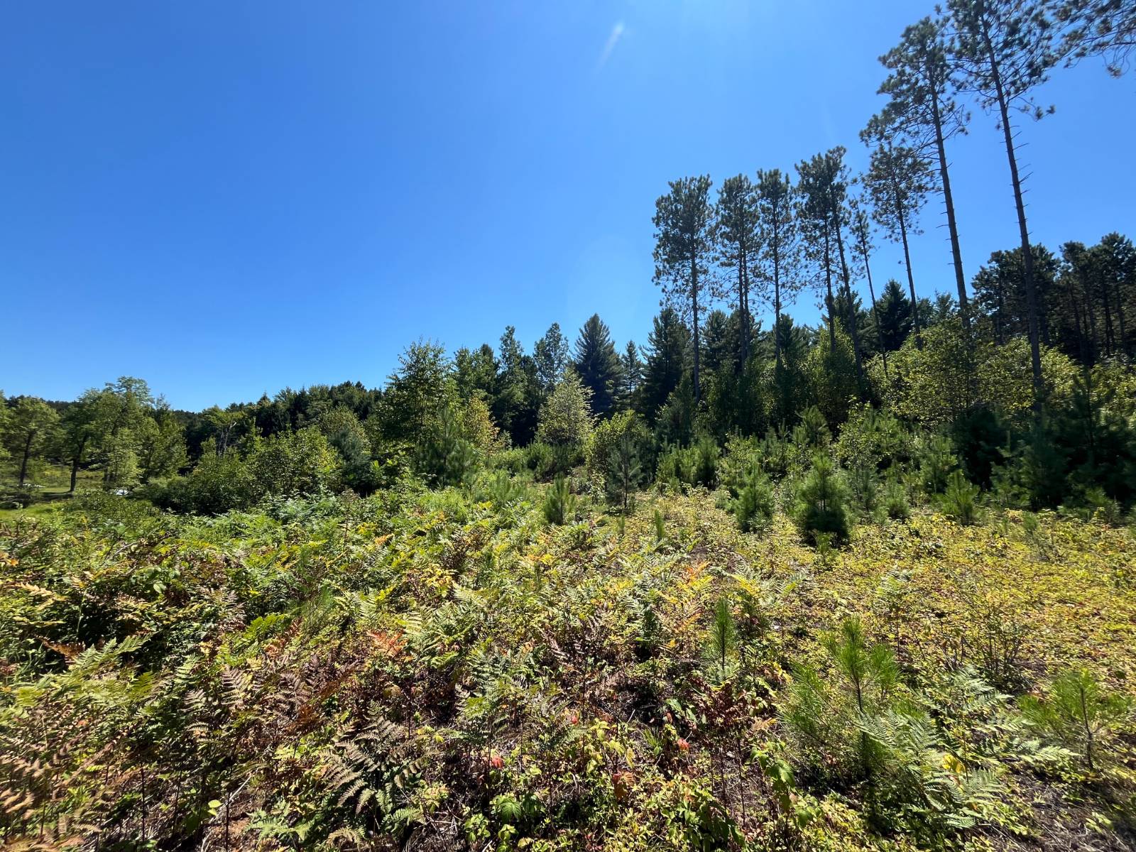 #16 photo, 20 Pond Rd/prvt, Russell , NY 13684