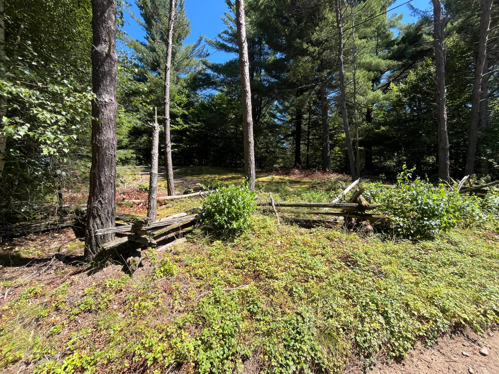 #20 photo, 20 Pond Rd/prvt, Russell , NY 13684