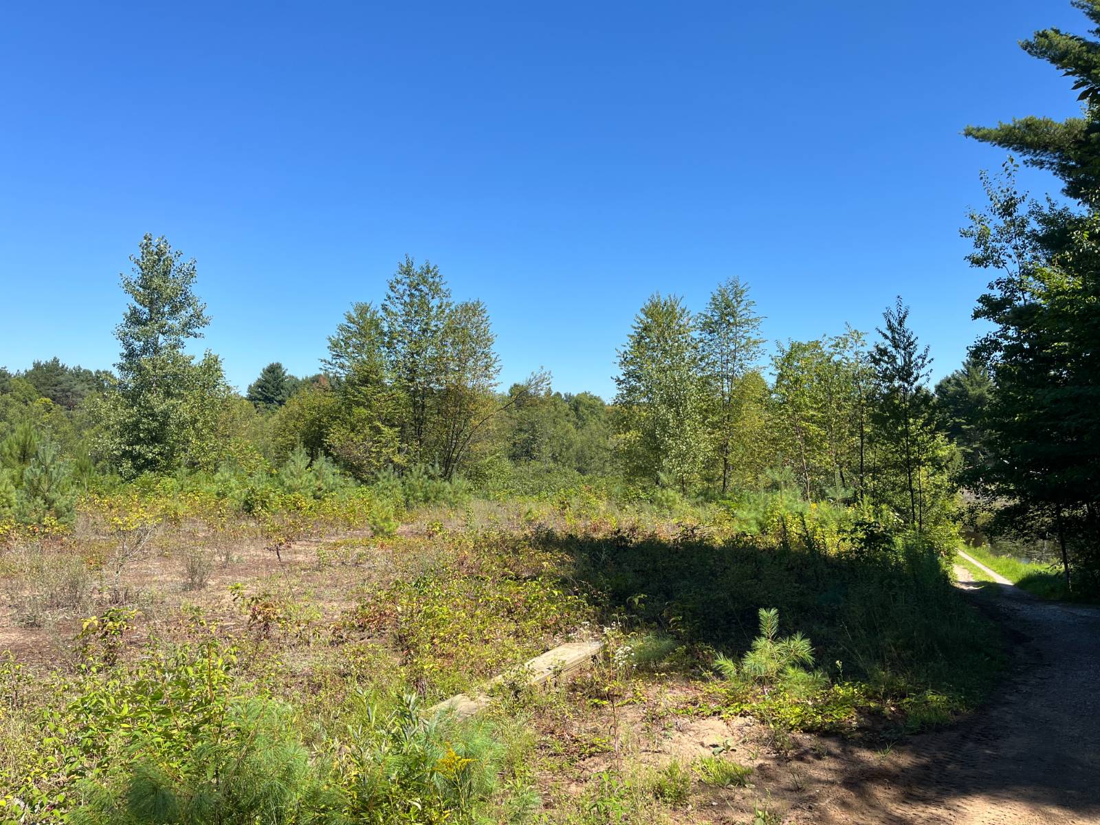 #27 photo, 20 Pond Rd/prvt, Russell , NY 13684