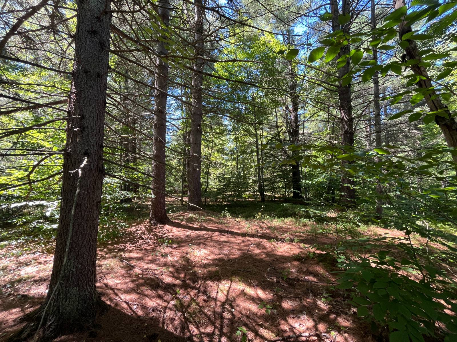 #7 photo, 20 Pond Rd/prvt, Russell , NY 13684