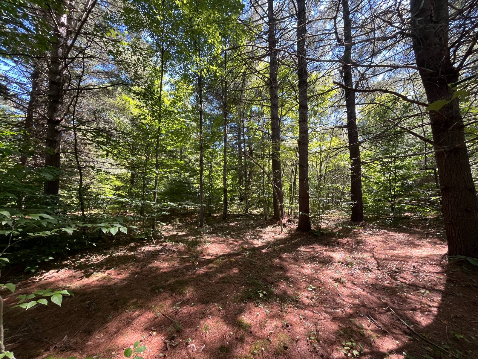 #8 photo, 20 Pond Rd/prvt, Russell , NY 13684