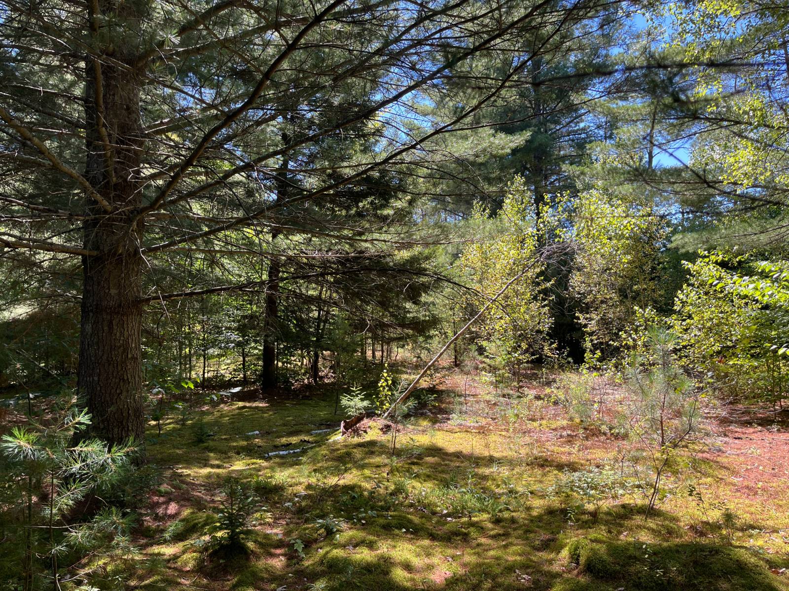 #9 photo, 20 Pond Rd/prvt, Russell , NY 13684