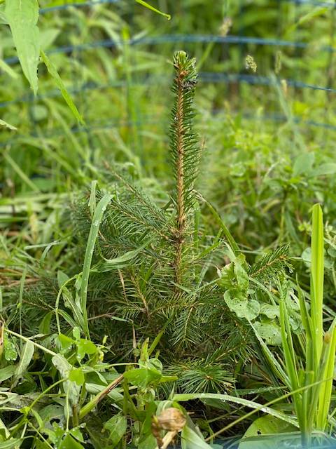 #1 photo, 84 Baertschi Rd, Hoosick Falls , NY 12090