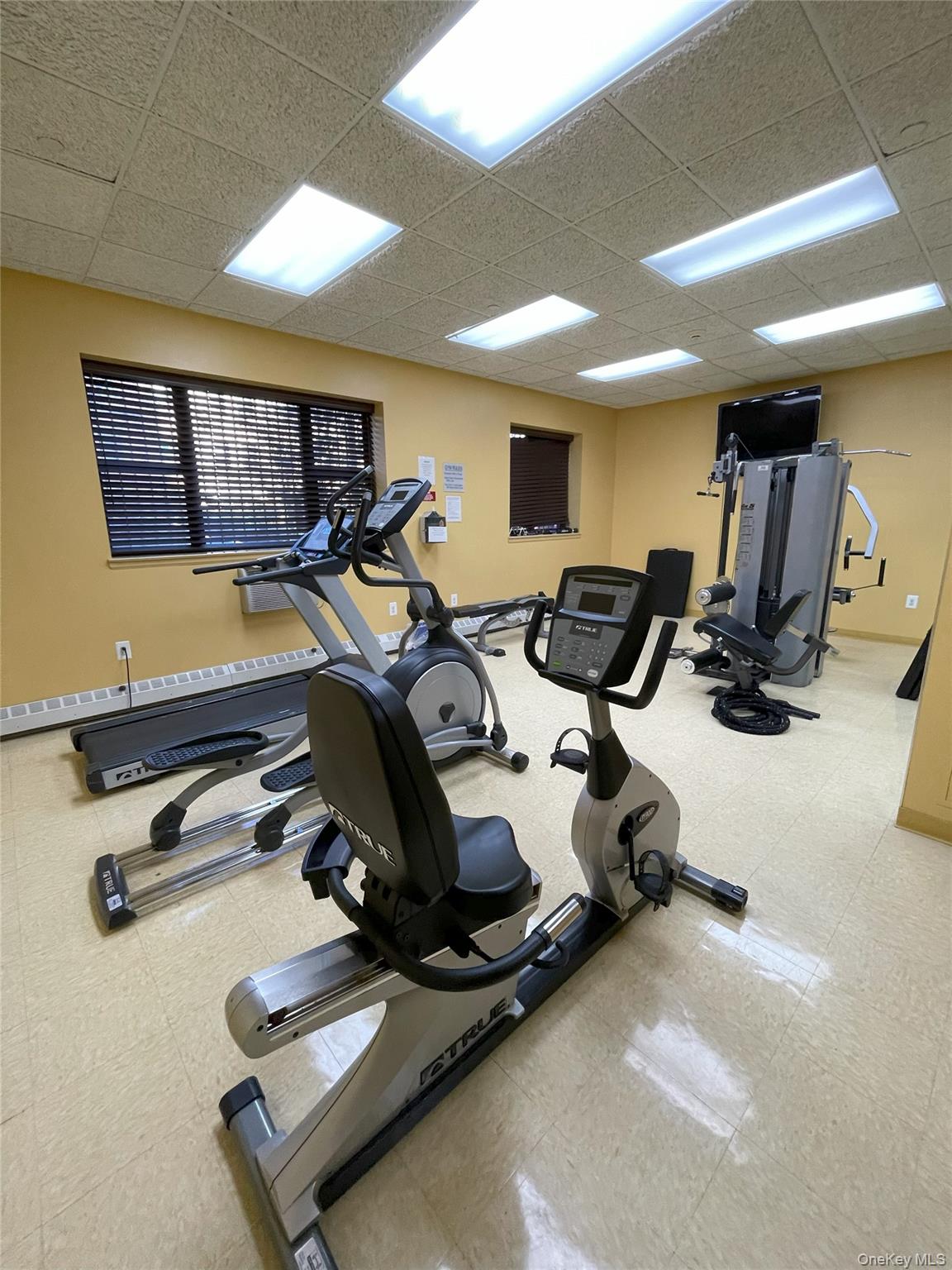 #11 photo, 1259 Grant Avenue, ブロンクス区 Bronx , NY 10456