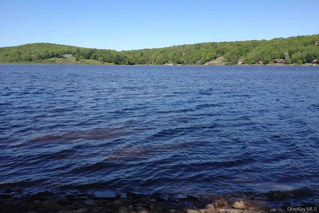 #1 photo, Lot 23 Woodstone Trail, White Lake , NY 12720