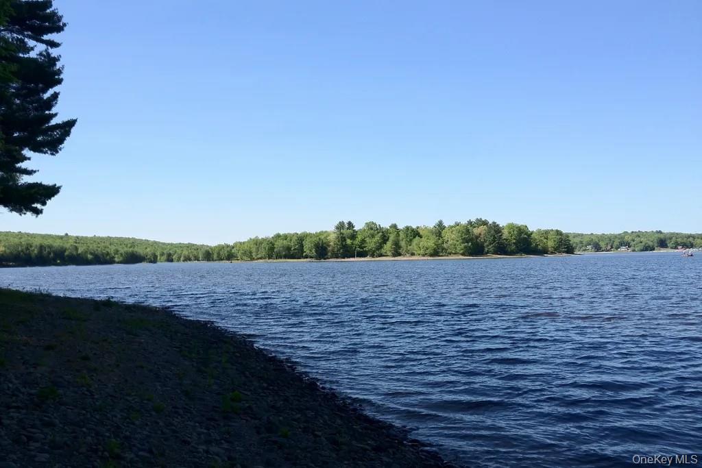 #2 photo, Lot 23 Woodstone Trail, White Lake , NY 12720
