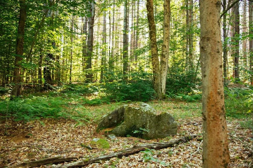 #2 photo, Lot 1 Woodstone Trail, Smallwood , NY 12737