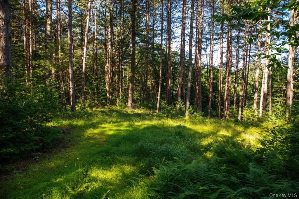 #3 photo, Lot 1 Woodstone Trail, Smallwood , NY 12737