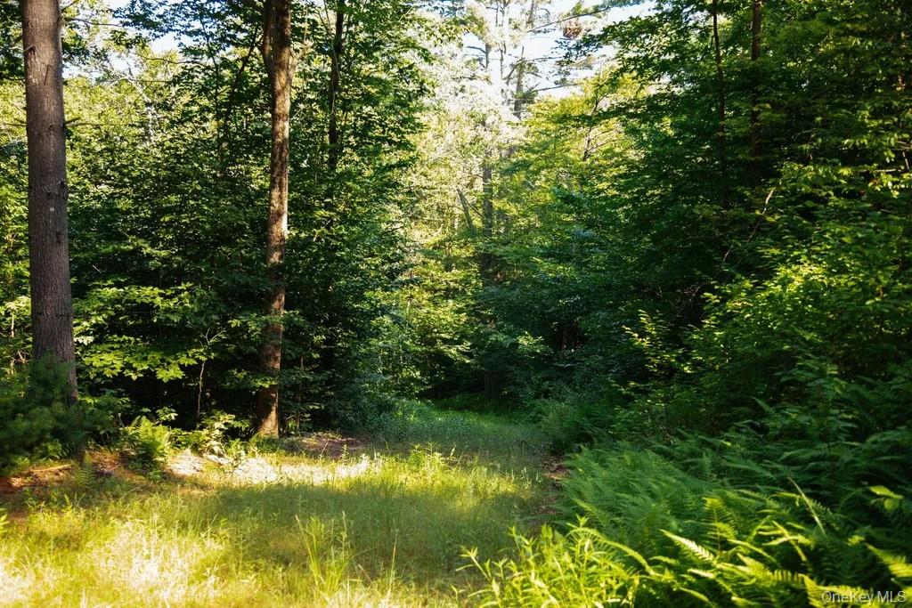 #4 photo, Lot 1 Woodstone Trail, Smallwood , NY 12737