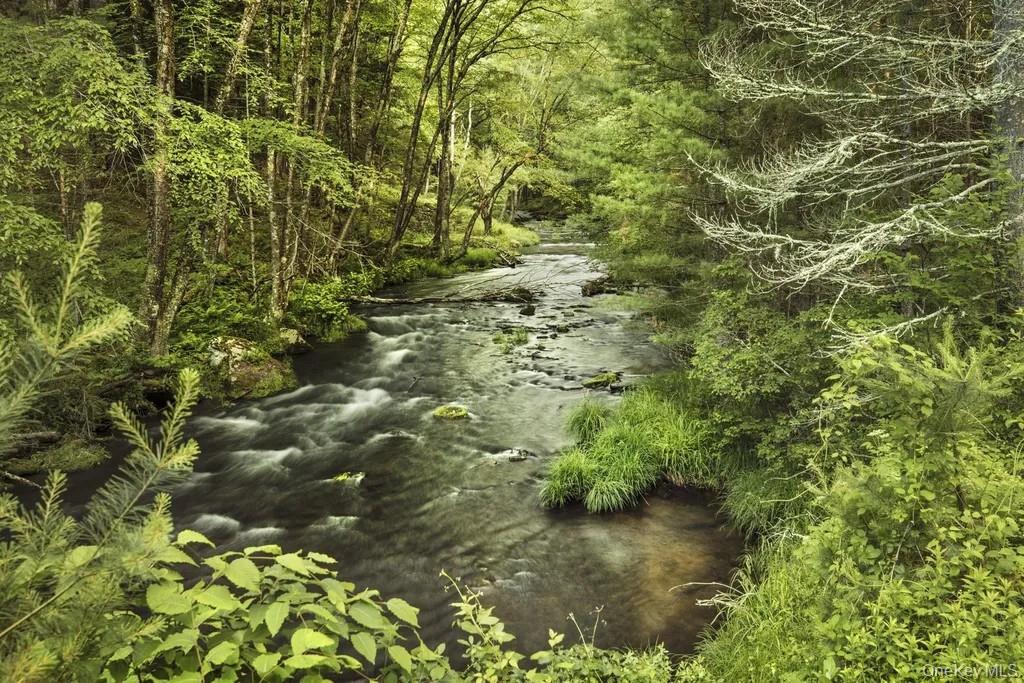 #8 photo, Lot 1 Woodstone Trail, Smallwood , NY 12737