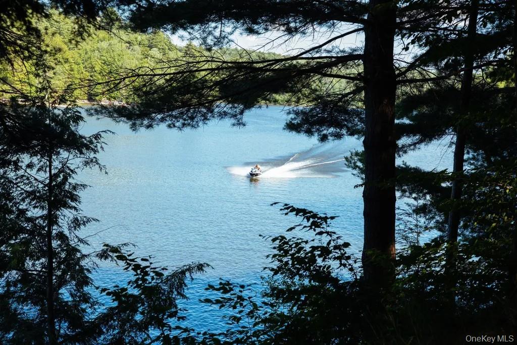 #1 photo, Lot 2 Woodstone Trail, Smallwood , NY 12737