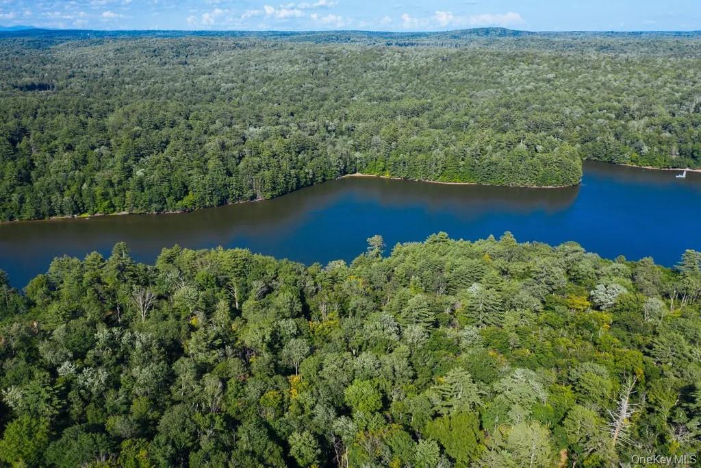 #11 photo, Lot 2 Woodstone Trail, Smallwood , NY 12737