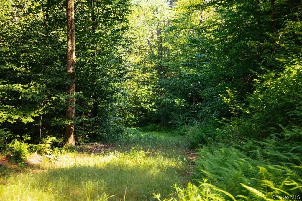 #5 photo, Lot 2 Woodstone Trail, Smallwood , NY 12737