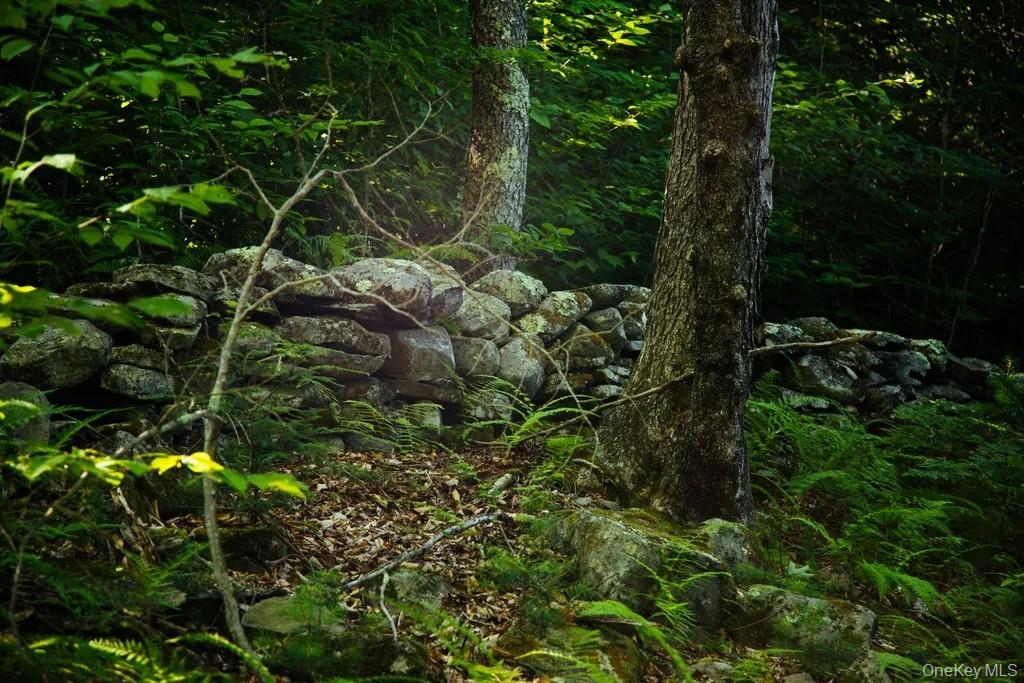 #6 photo, Lot 2 Woodstone Trail, Smallwood , NY 12737