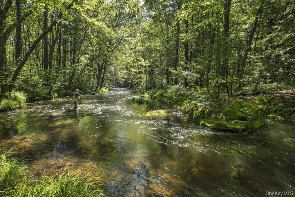 #8 photo, Lot 2 Woodstone Trail, Smallwood , NY 12737