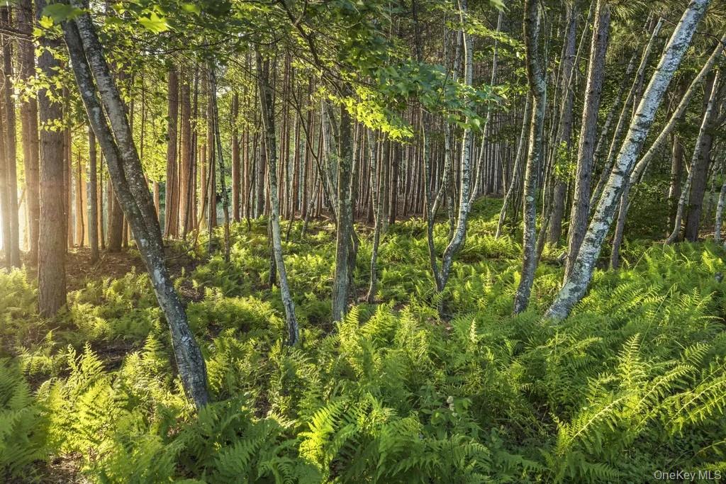 #9 photo, Lot 2 Woodstone Trail, Smallwood , NY 12737