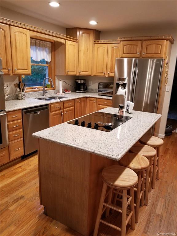 #9 photo, 33 Sandra Lane, Monroe , NY 10950