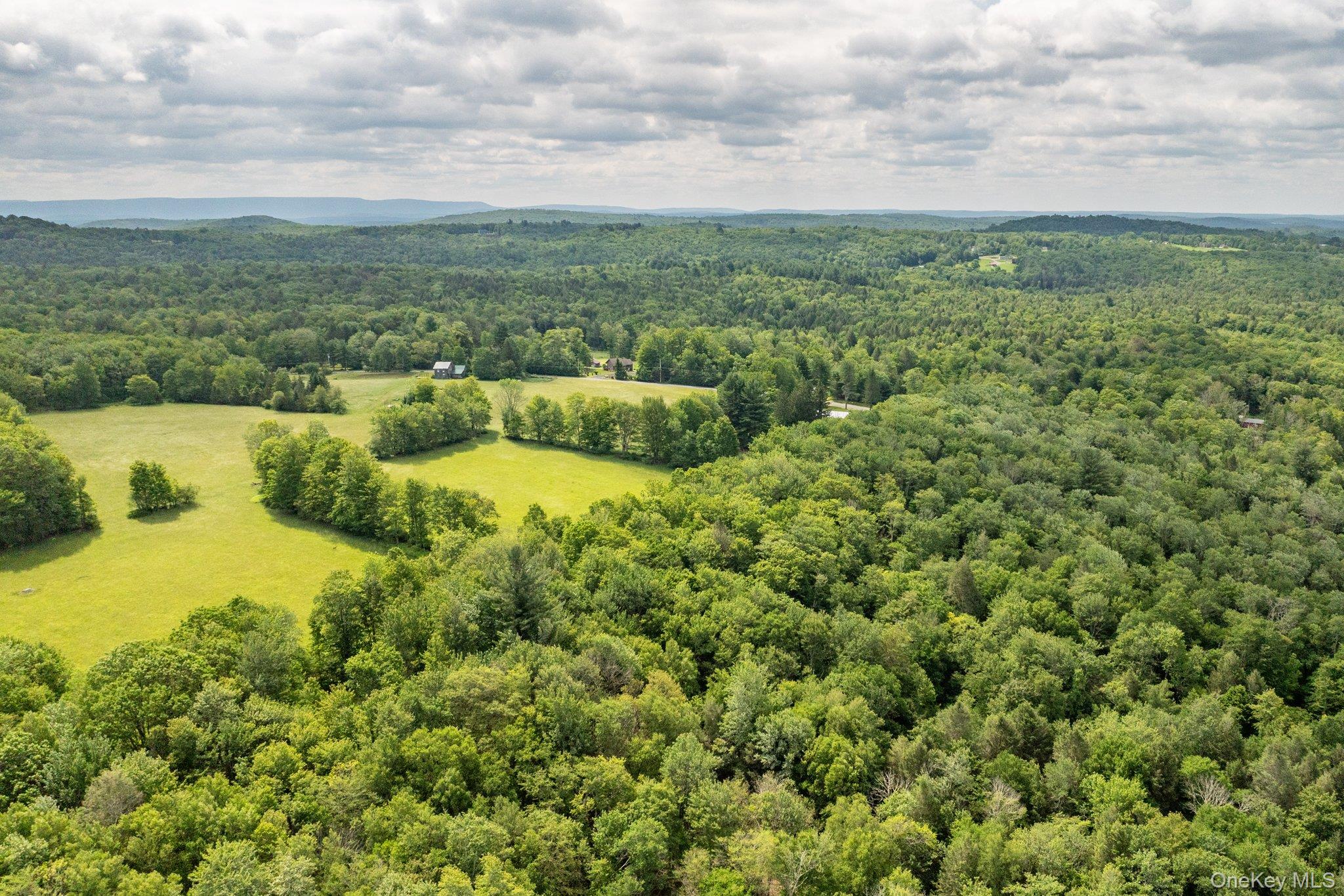 #1 photo, 115 Moore Rd, Woodbourne , NY 