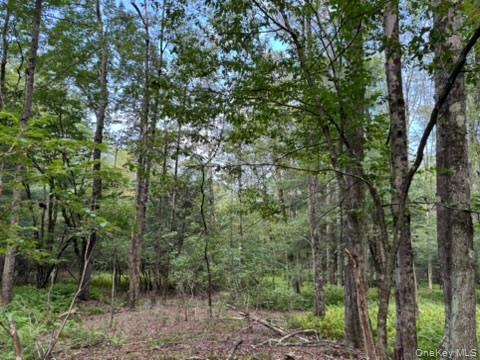 #1 photo, 113 Moore, Woodbourne , NY 