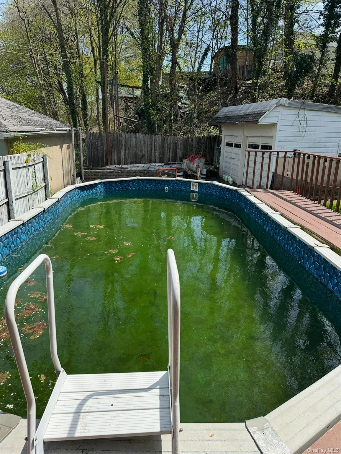 #6 photo, 303 Glen Avenue, Staten Island , NY 10301