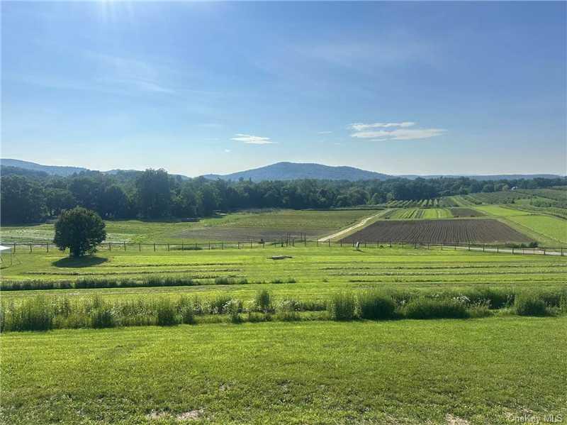 #4 photo, 869 Old Country Road, ナッソー郡 Westbury , NY 11590