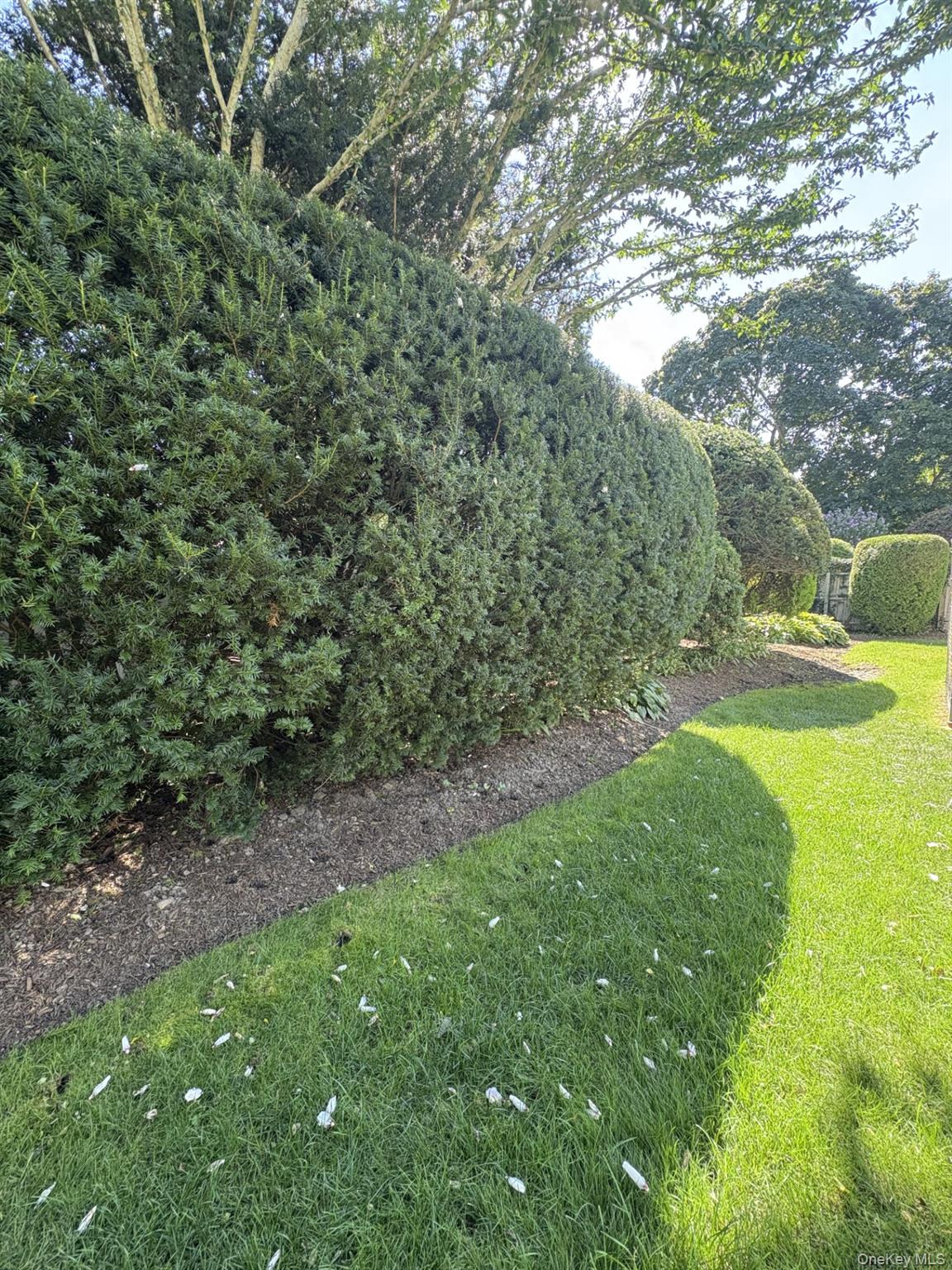 #19 photo, 188 Washington Avenue, サフォーク郡 Mastic Beach , NY 11951