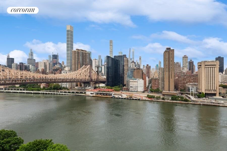 #15 photo, 425 MAIN Street, マンハッタン Roosevelt Island , NY 10044