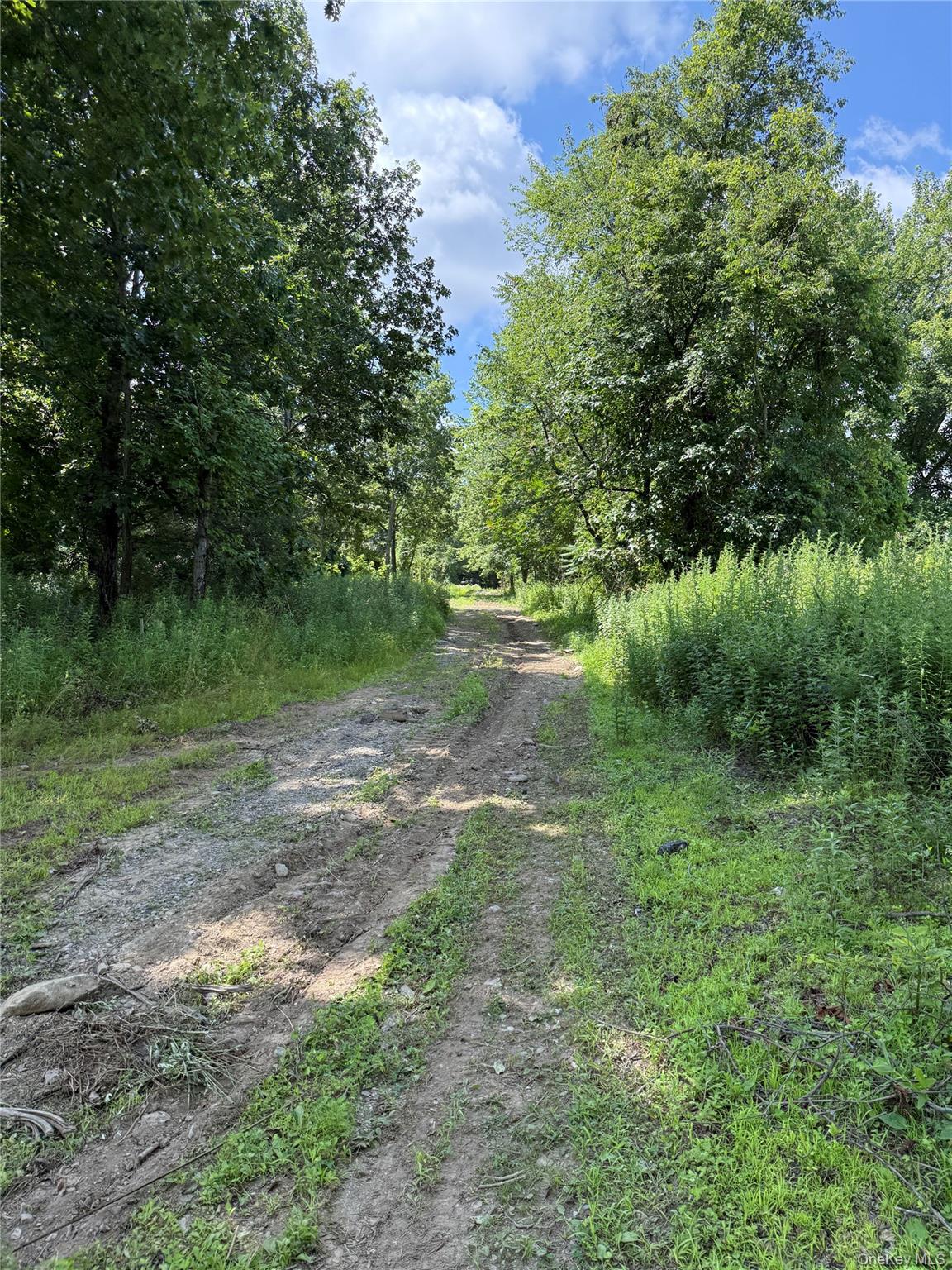 #15 photo, 36 Gem Mountain, Lagrangeville , NY 12540