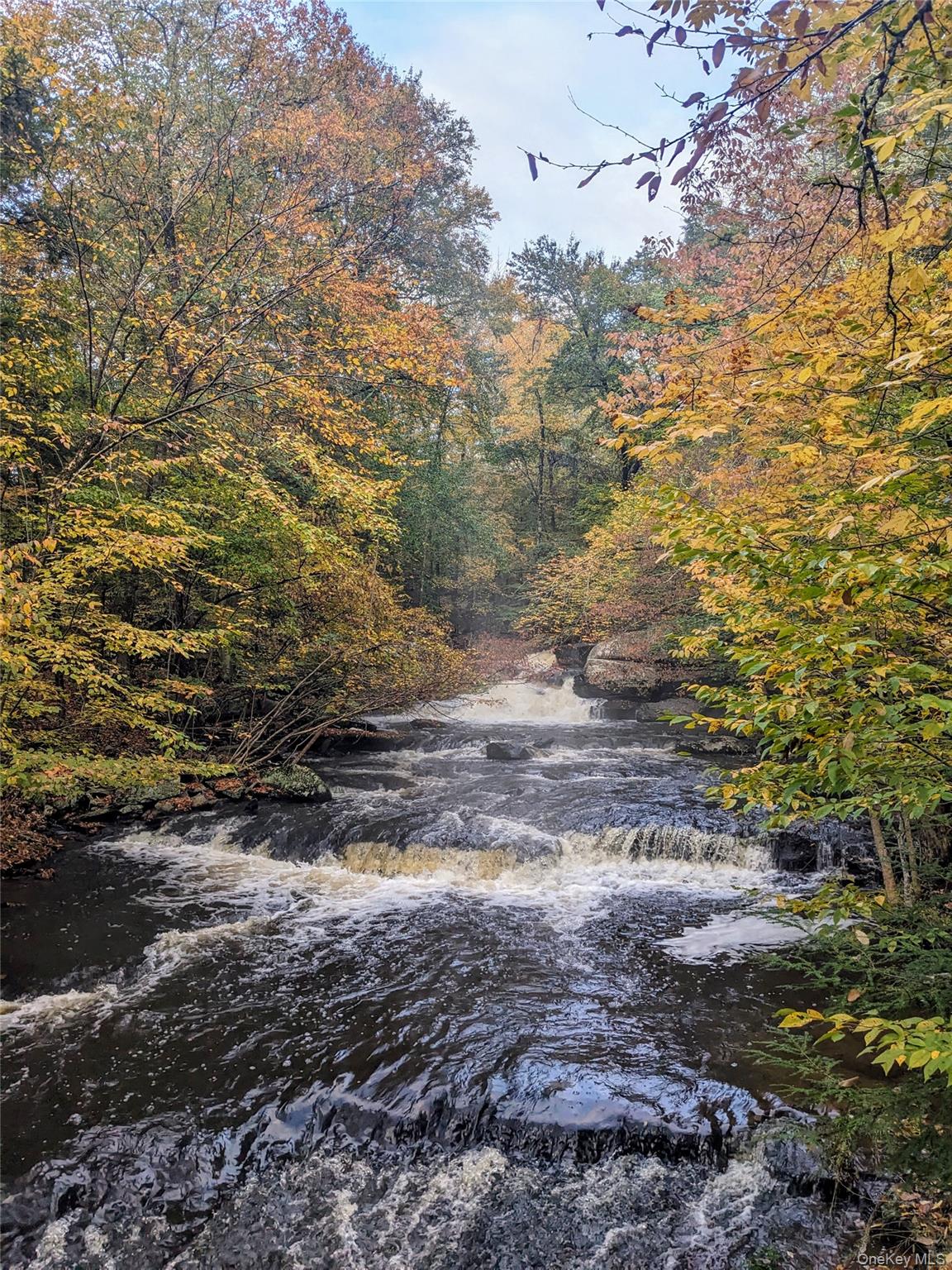 #1 photo, 30 N Mohican Trail, Smallwood , NY 12778