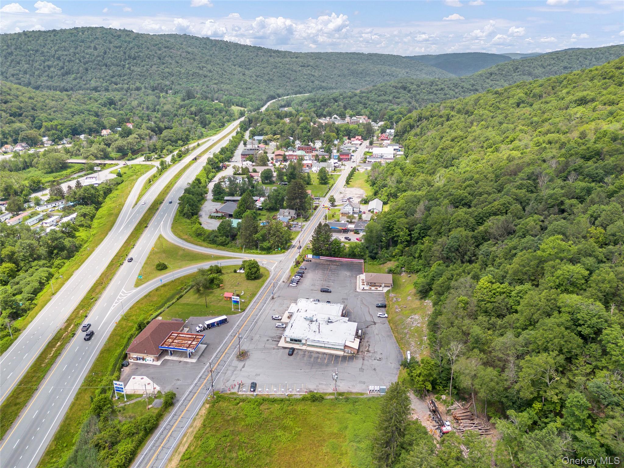 #3 photo, 1908 Old Route 17, Roscoe , NY 12776