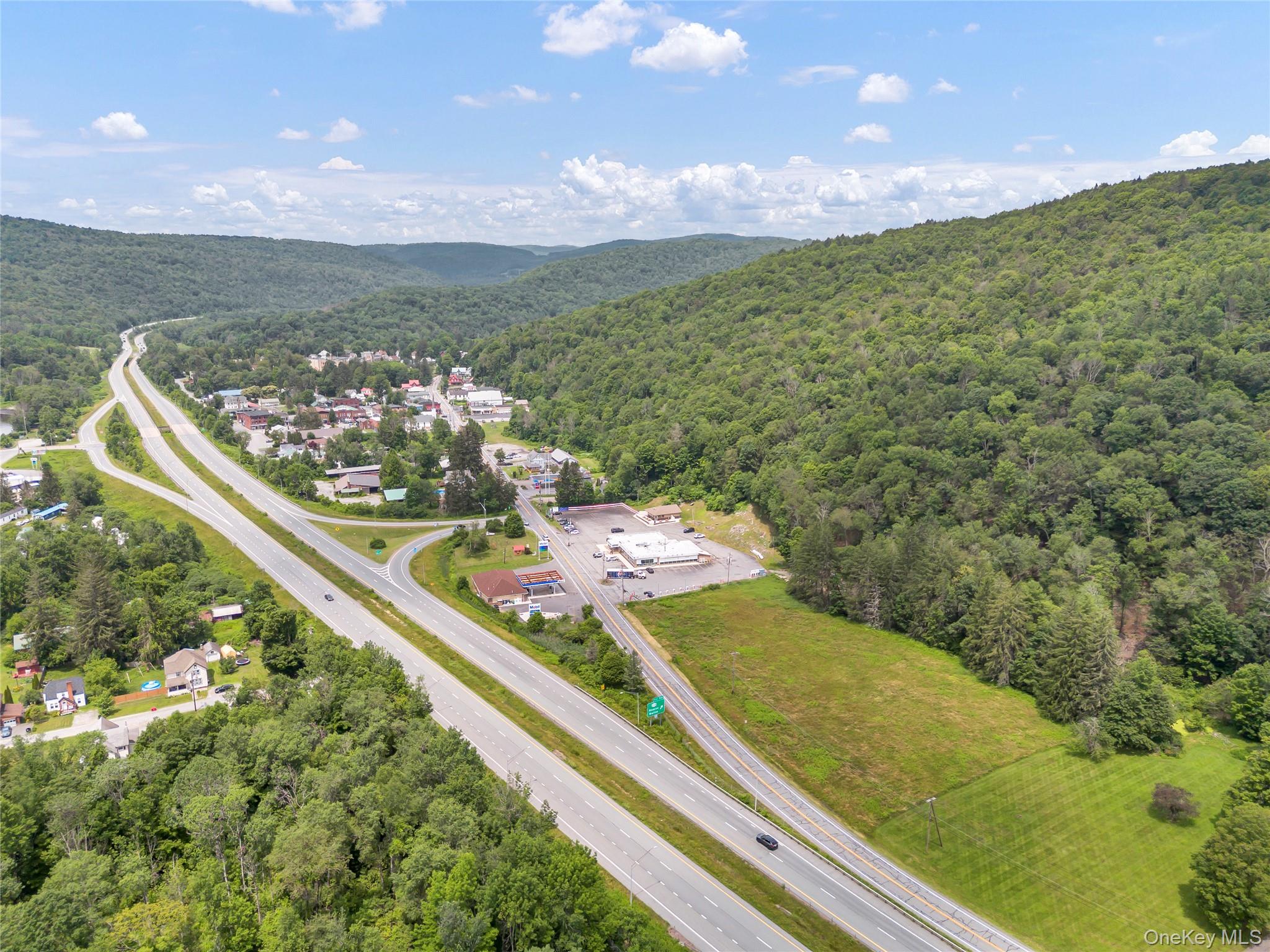 #4 photo, 1908 Old Route 17, Roscoe , NY 12776