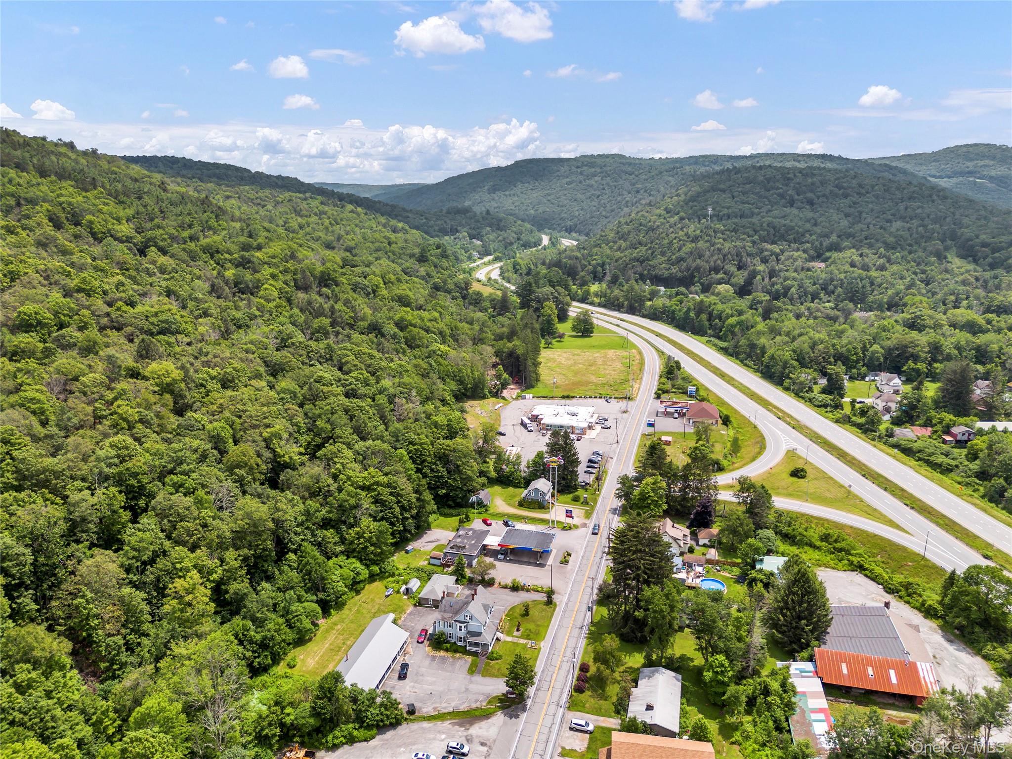 #5 photo, 1908 Old Route 17, Roscoe , NY 12776