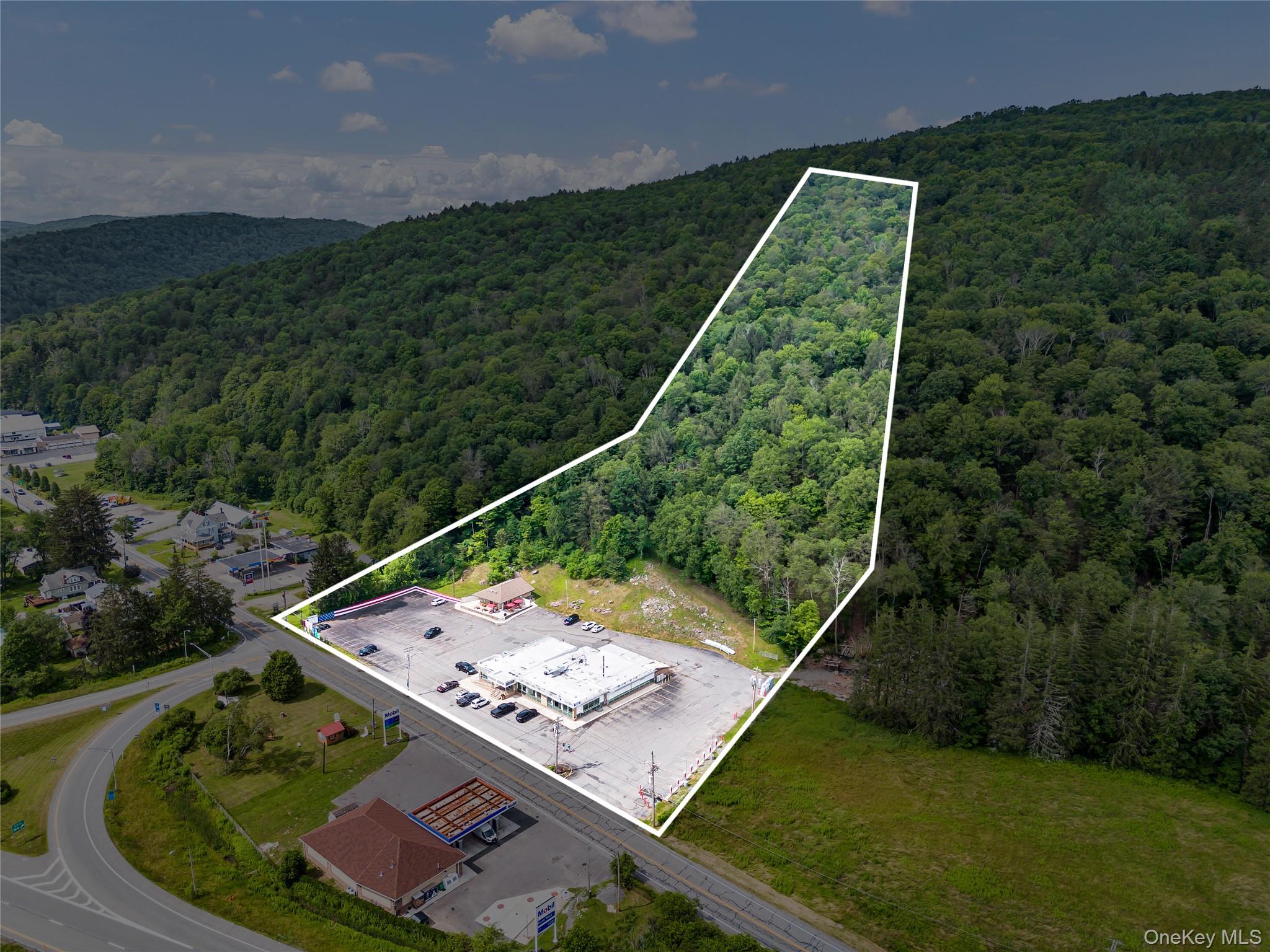 #6 photo, 1908 Old Route 17, Roscoe , NY 12776