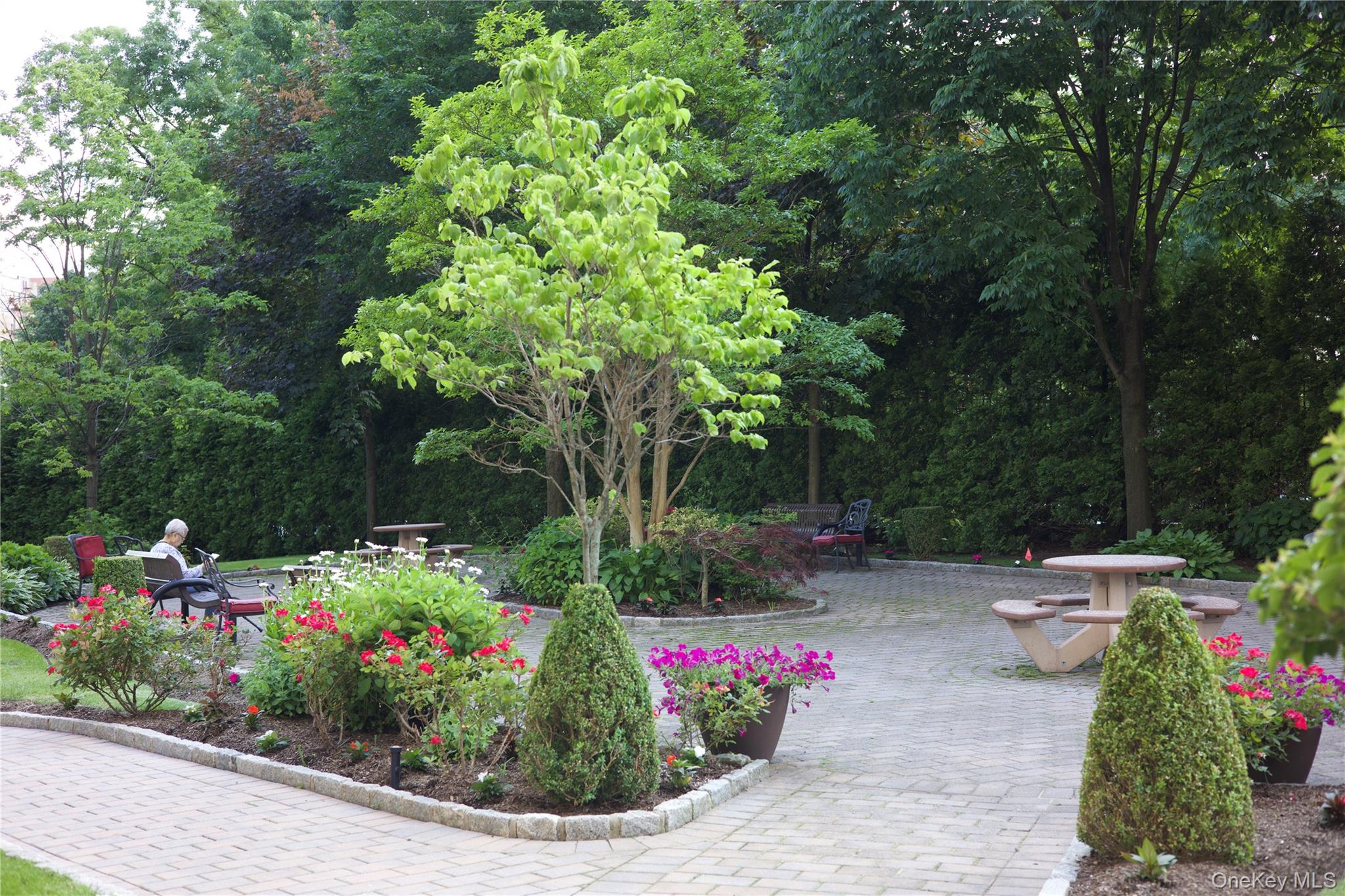 #11 photo, 5 Fordham Hill Oval, ブロンクス区 Bronx , NY 10468