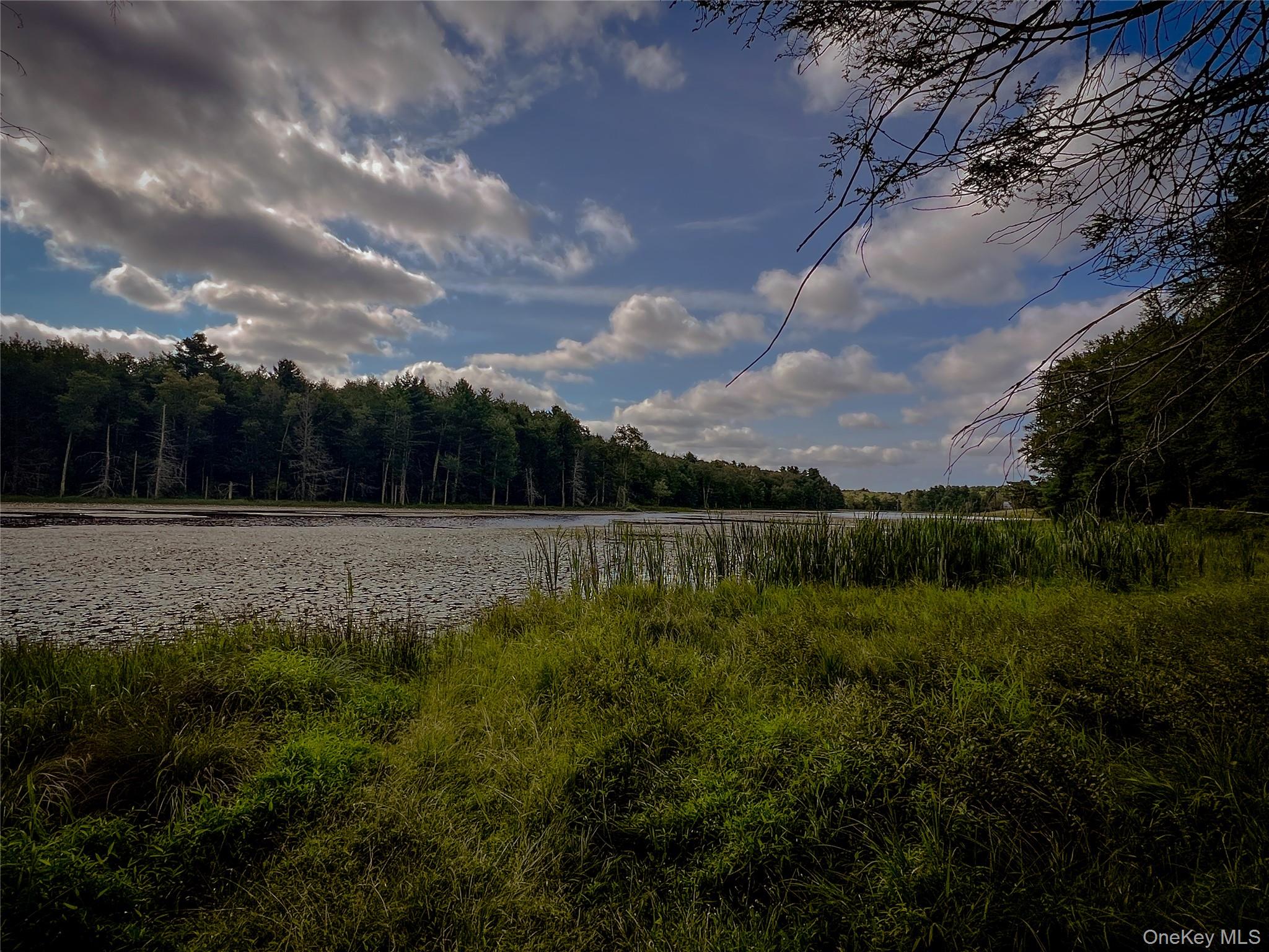 #10 photo, 72 Black Lake Road, Bethel , NY 12786