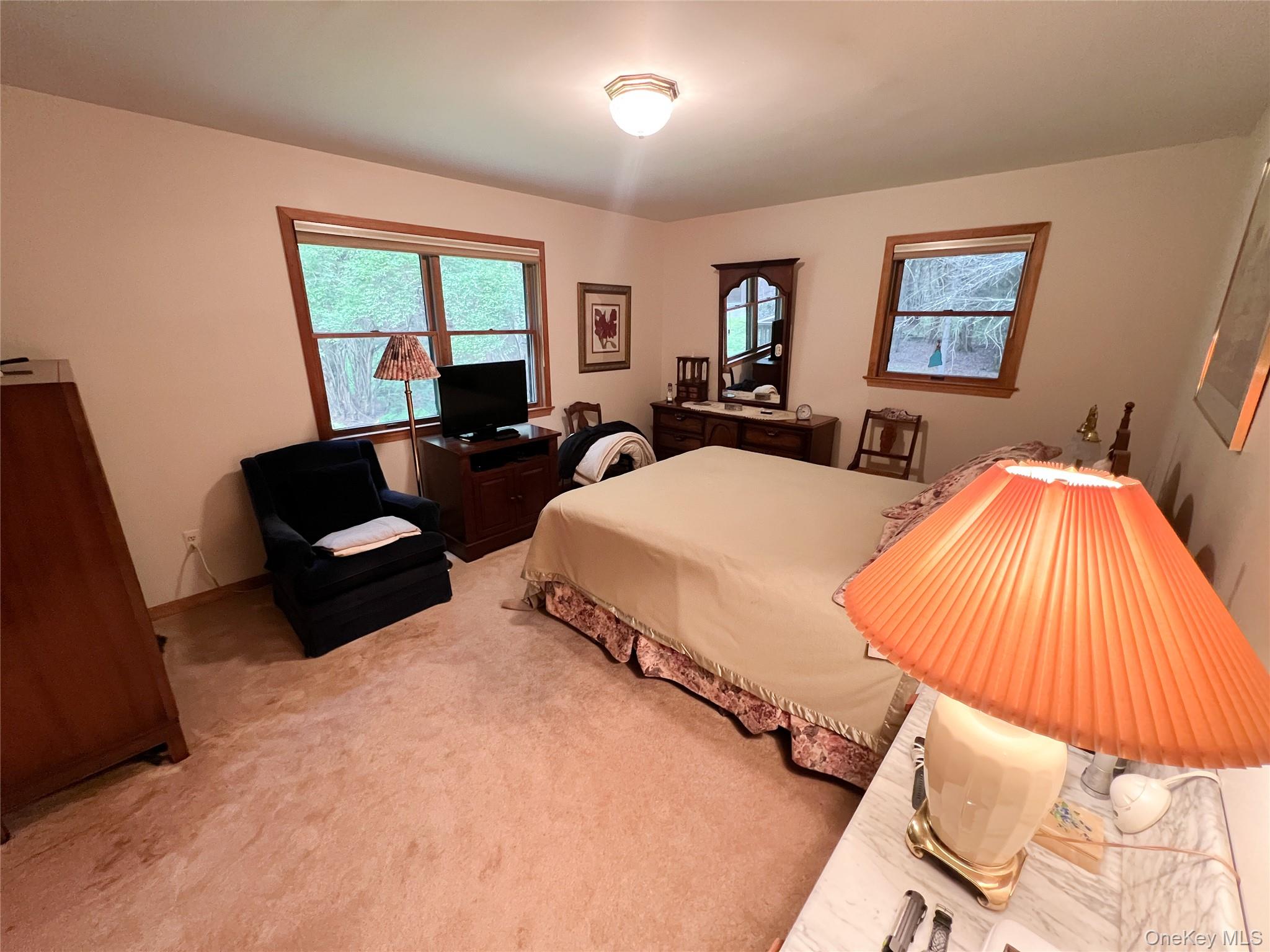 #15 photo, 72 Black Lake Road, Bethel , NY 12786