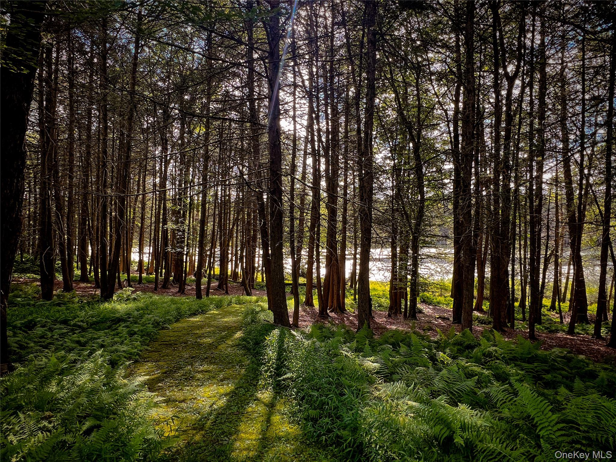 #9 photo, 72 Black Lake Road, Bethel , NY 12786