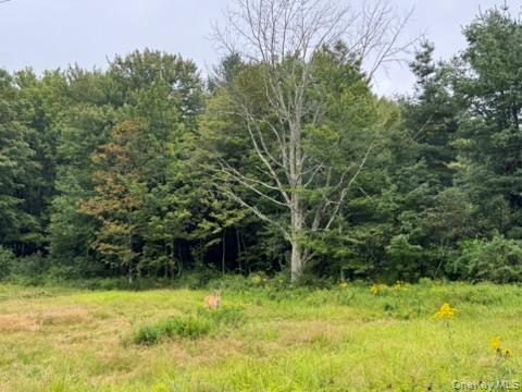 #1 photo, 480 CR 131, Callicoon , NY 